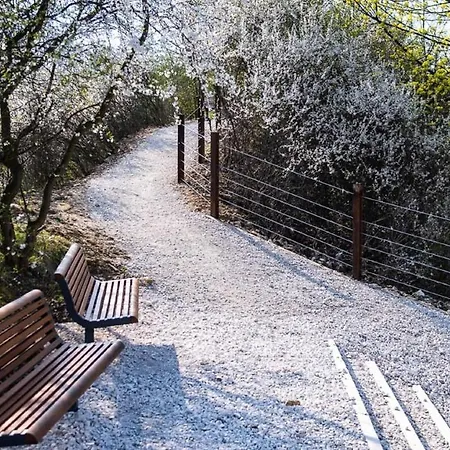 Park Zakrzowek